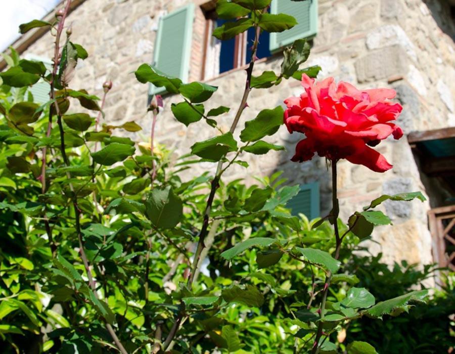 Tenuta Colombaio Casole dʼElsa Buitenkant foto
